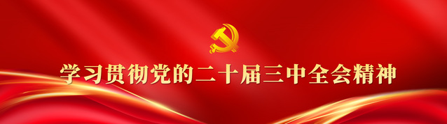 党的二十届三中全会